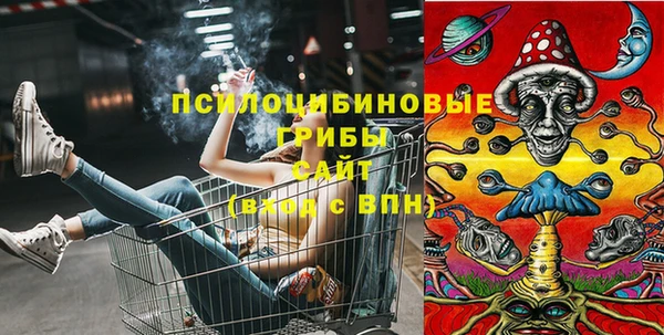 бошки Балахна
