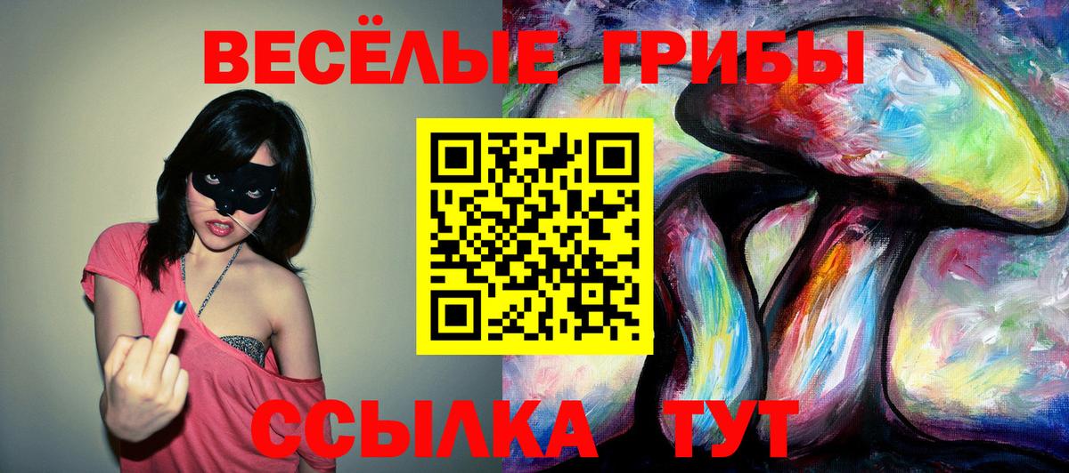 Галлюциногенные грибы Psilocybine cubensis Валуйки
